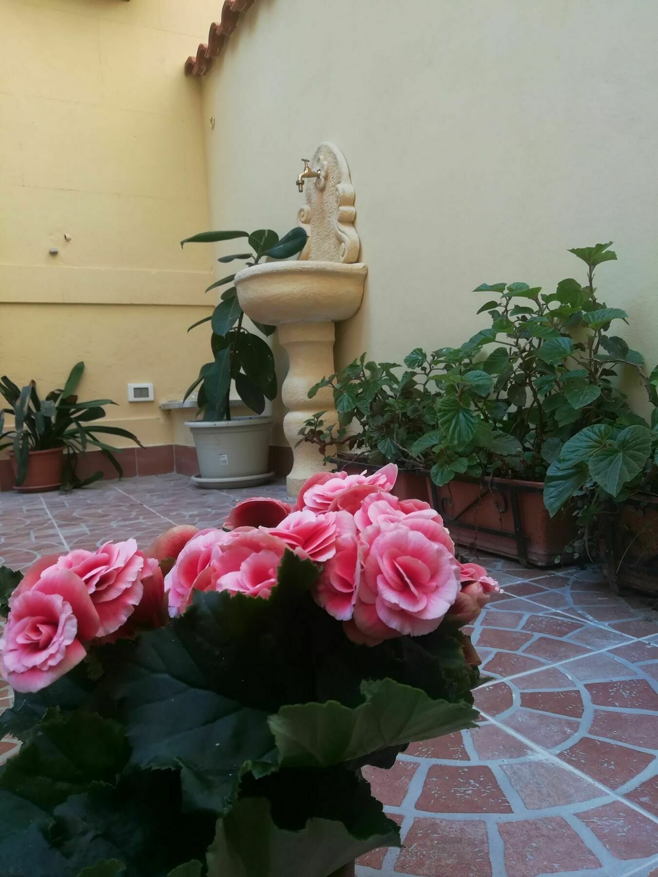 Le Rose Del Viale Hotel ปาแลร์โม ภายนอก รูปภาพ